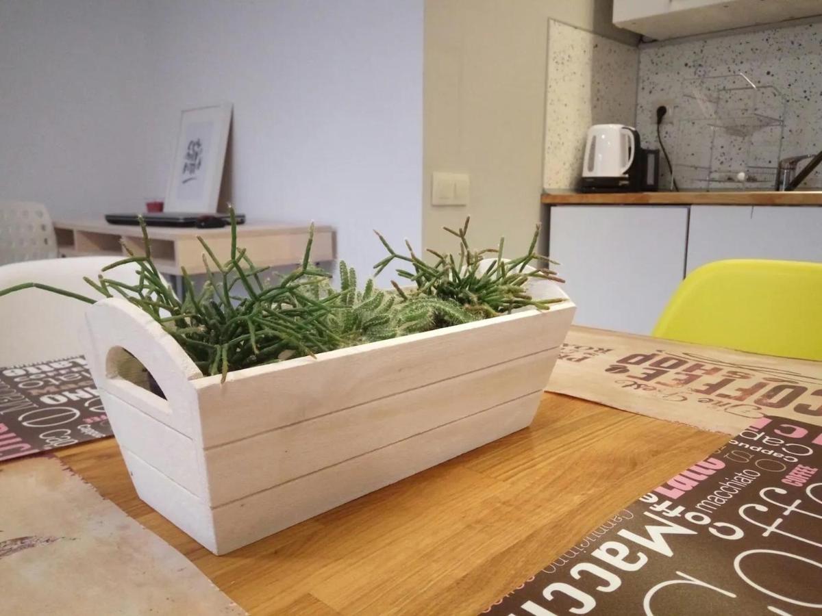 Quiet & Airy Modern Apt. Top Centre Free Parking ソフィア エクステリア 写真